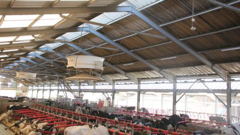 Localisation. Les caméras sont installées au milieu du bâtiment et couvrent tous les espaces occupés par les vaches. D.Lehé
